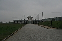 a 005